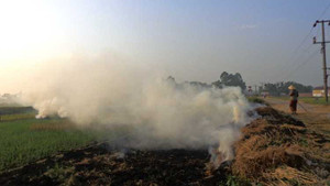 Ảnh: Người Hà Nội bị hun nóng vì khói rơm rạ