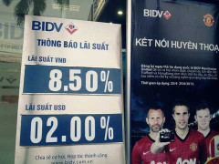 Cả ‘làng’ giảm lãi suất, chi nhánh BIDV tăng