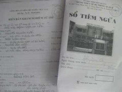 Tử vong sau tiêm ngừa ung thư cổ tử cung