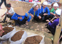 Thực hư chuyện phụ nữ cả xã thi nhau “bắn ba dô ka”