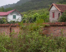 Đất trang trại giá rẻ: Dễ tiền mất tật mang