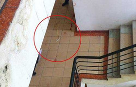 Sinh viên côn đồ đánh thầy giáo nhập viện