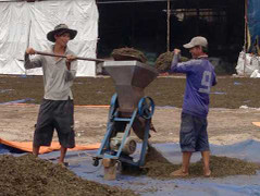 Trà dùng ướp xác được bán để uống