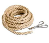 Hà Nội: Hai mẹ con chết trong tư thế treo cổ