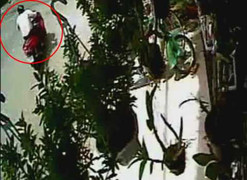 Clip: Đạo chích hí hoáy phá khoá PCX