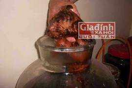 Quý ông 'nâng sức' bằng rượu bào thai hổ