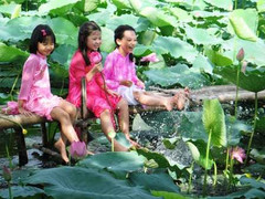 'Chặt chém' ở đầm sen Hồ Tây