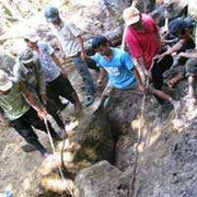 Bắt trưởng công an huyện ăn chặn kỳ nam bạc tỷ