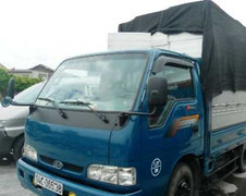 Công an Hải Dương phải bồi thường 2 tấn bạch tuộc