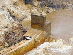 Vỡ đập thủy điện: 8 người 'đánh đu' trên ngọn cây