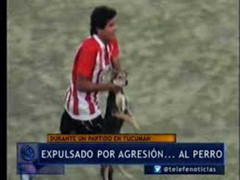 Clip: Ném chó khỏi sân, nhận ngay thẻ đỏ