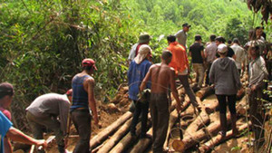 Hàng nghìn người lũ lượt vào rừng chặt phá, giành đất