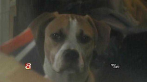 Thất kinh: ngủ dậy mất bàn chân