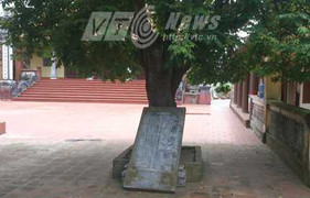 Theo bà đi chùa, cháu bé bị bia đá đè chết thương tâm