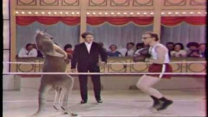 Clip: Không thể nhịn cười với màn đấm bốc cùng Kangaroo