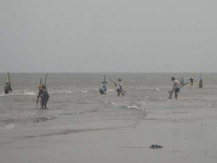 Tàu cá mắc lưới, cuốn phăng 1 phụ nữ ra biển