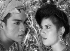 Những bài văn tốt nghiệp ‘bất hủ’