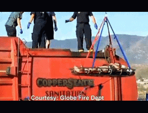 Máy xử lý rác nghiền, may mắn không chết