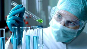 4 nghiên cứu khoa học ngớ ngẩn nhất