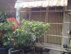 Bắt nghịch tử giết cha mẹ bằng 8 nhát dao