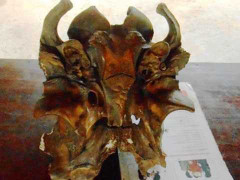 Vớt được hộp sọ kỳ quái ở Thanh Hoá