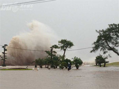 Năm nay sẽ có bao nhiêu cơn bão trên biển Đông?