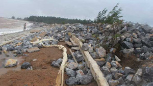 Dự báo bão Bebinca chưa chính xác?