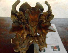 Phát bệnh vì tìm thấy hộp sọ 'Ngưu ma vương'