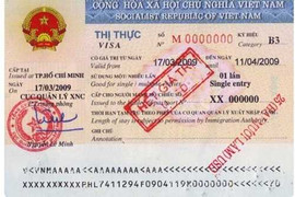 Xử lý 4 wesbite tên miền gov.vn cấp visa trái phép