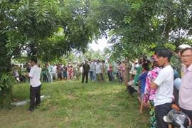 TP.HCM: Xác người treo lơ lửng trên cành cây