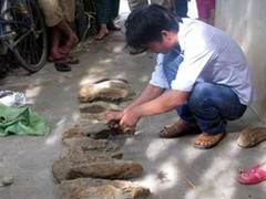 Tin hot 3/7: Lạ kỳ khối đá phát ra âm thanh