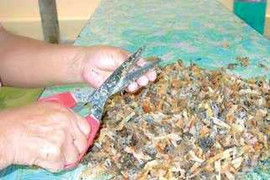 Yến sào hảo hạng ướp chất độc gây ung thư?