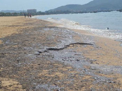 Ảnh: Cận cảnh dầu loang nhuộm đen biển Quy Nhơn