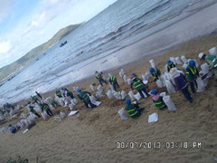 Ảnh: Hàng trăm người vớt dầu cứu biển Quy Nhơn