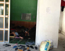 Bầy đàn đa cấp Lô Hội: Lũ lượt đi, lại về sống bầy đàn