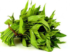 Tin hot 10/7: Nguy cơ tiềm ẩn từ rau muống, rau ngót