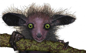 Đêm đêm trai Việt vào phố cổ săn gái Tây