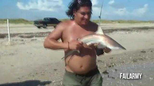 Những tình huống hài hước khi bị động vật tấn công