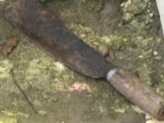 Điếng người bé gái 12 tuổi hại chết em họ 2 tuổi