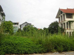 Hà Nội la liệt đất nửa tỷ đồng/m2 bỏ hoang