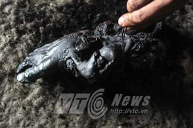 Bàn chân treo gác bếp bị chuột gặm, bọ xơi