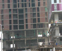 Vì sao Sông Đà Thăng Long điêu đứng?