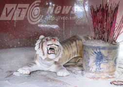 Vào nơi từng là tâm điểm của ma trành, thần hổ