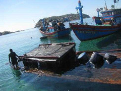 Tràn dầu biển Quy Nhơn: 'Thủ phạm' đề xuất bồi thường