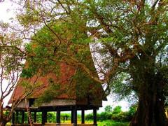 Những hủ tục oan khốc giữa núi rừng Tây Nguyên