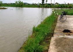 Điều tra cái chết bất thường dưới ruộng ngập nước