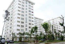 Lùng sục săn căn hộ 500 triệu đồng