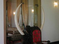 Bí ẩn cặp ngà voi ở Dinh Thống Nhất