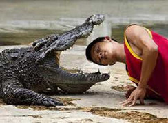 Hãi hùng cá sấu 'khủng' ngoạm đầu huấn luyện viên