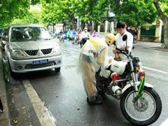 Hà Nội: 21 xe biển xanh 'trơ luật' bị xử lý